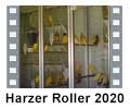 Harzer_Roller_2020